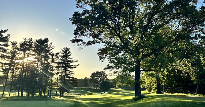 The Importance of Spinal Health for Overall Wellness image